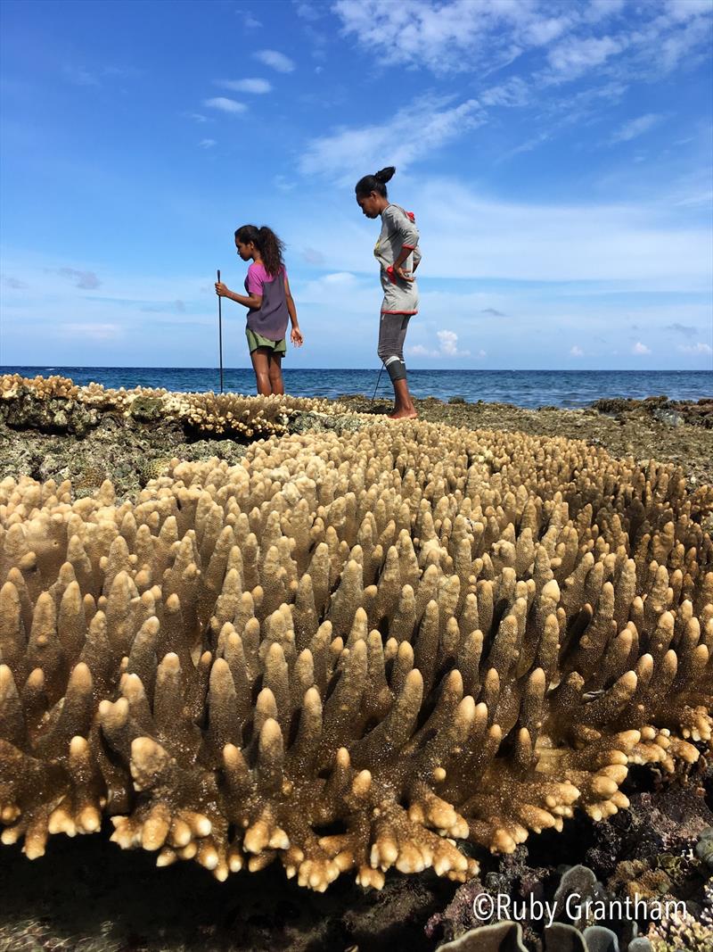 Women gleaning on Atauro Island photo copyright Ruby Grantham taken at 