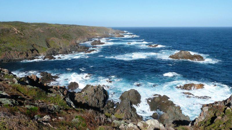 Seal Rocks - photo © Jack and Jude