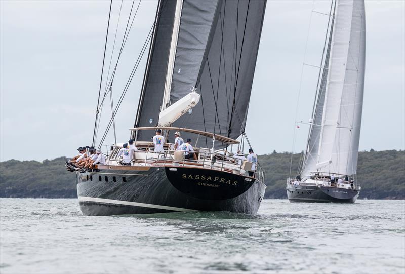 Sassafras sailing in light airs on Day 2 of the Mastercard Superyacht Regatta photo copyright Jeff Brown BREED Media taken at Royal New Zealand Yacht Squadron