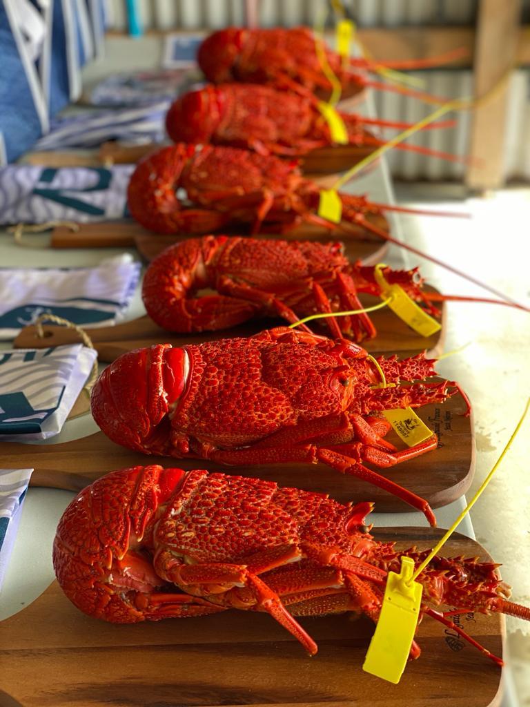 To the winners go large crayfish - King Island Race - photo © Ocean Racing Club of Victoria