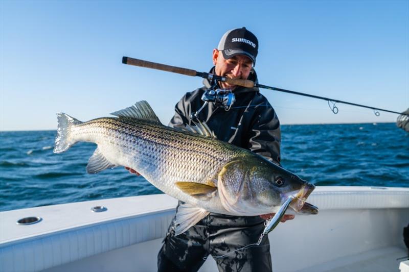 Shimano makes a splash with new products for freshwater and saltwater anglers photo copyright Shimano taken at 