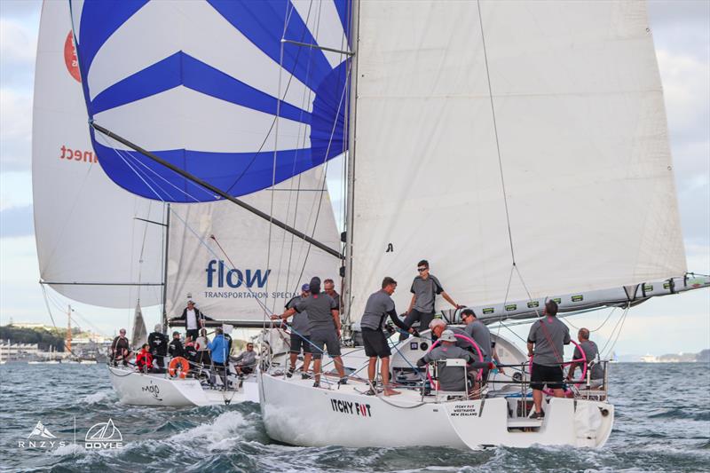 Final Race - Doyle Sails Evening Series - Royal New Zealand Yacht Squadron - March 31, 2021 photo copyright Andrew Delves taken at Royal New Zealand Yacht Squadron