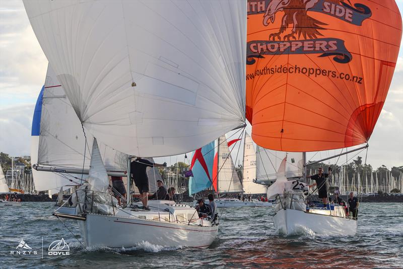 Final Race - Doyle Sails Evening Series - Royal New Zealand Yacht Squadron - March 31, 2021 photo copyright Andrew Delves taken at Royal New Zealand Yacht Squadron