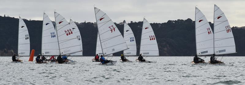 The Zephyr class is developing into a very popular singlehanded class - 70 entries for the 2021 Nationals at Manly Sailing Club - photo © Zephyr Class