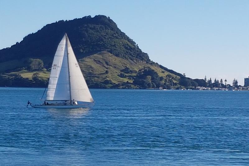 Ranger leaving Tauranga Harbour photo copyright Tauranga Yacht and Powerboat Club taken at 