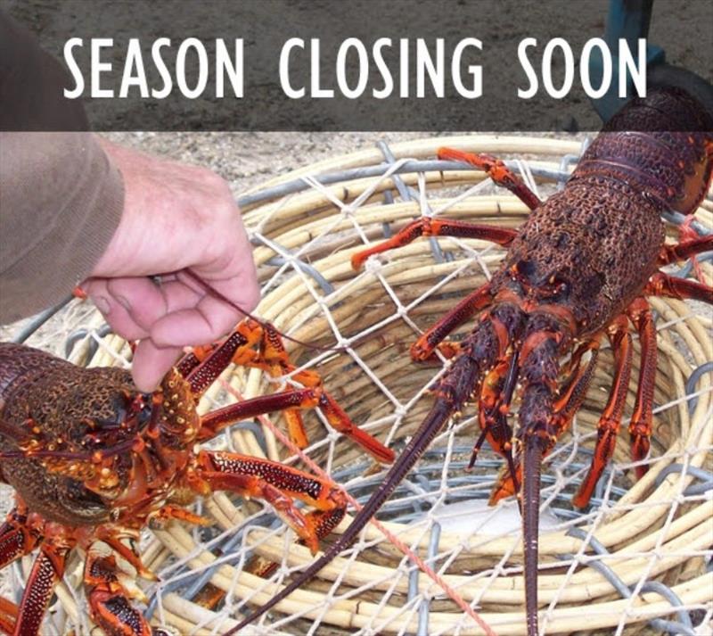Rock lobster season closing photo copyright DPIPWE Fishing taken at 