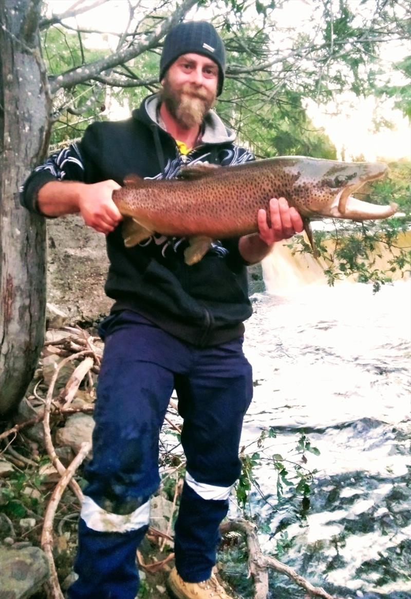 Brendan Colins with a wild brown trout from the Tyenna River - photo © Carl Hyland