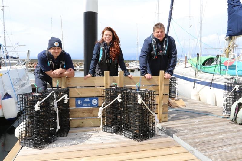 The Wild Oysters Project. David Nairn, Project Officer. Celine Gamble, ZSL. Jacob Kean Hammerson, BLUE photo copyright ZSL taken at 