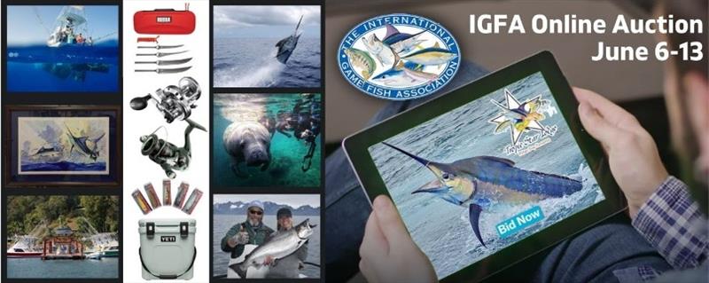 Online Auction - photo © IGFA