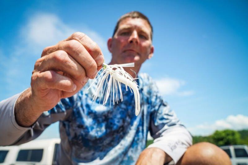 Chris Baldwin - Phoenix Bass Fishing League - photo © Major League Fishing