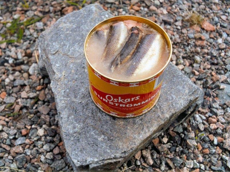 Open can of surströmming photo copyright Lapplaender, CC BY-SA 3.0 DE , via Wikimedia Commons taken at Ocean Cruising Club