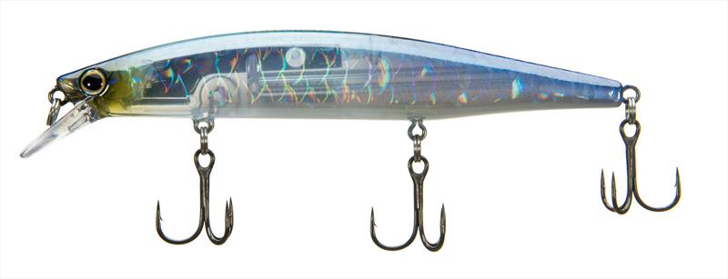 World Minnow 115SP - photo © Carolyn Tripp