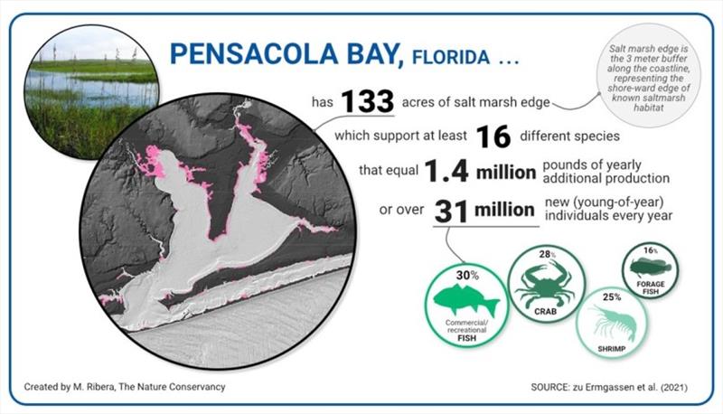 Fish Production Calculator Infographic - photo © M. Ribera / The Nature Conservancy