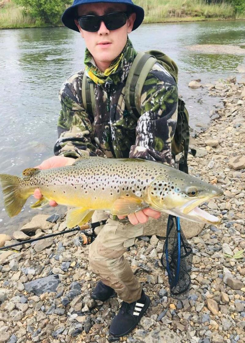 Ronan Camm with a brumbies creek brown trout photo copyright Carl Hyland taken at 