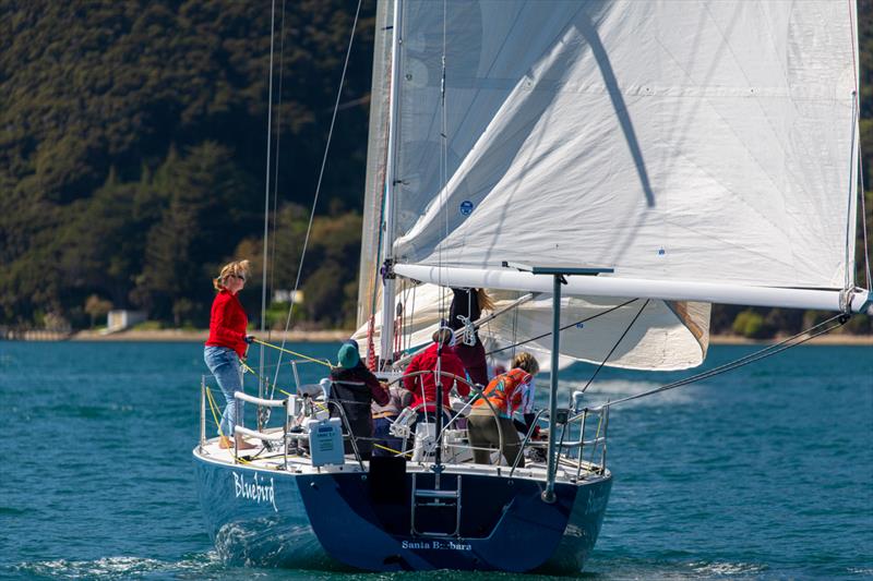 Bluebird heading downwind photo copyright Karmyn Ingram - Waikawa Boating Club taken at Waikawa Boating Club