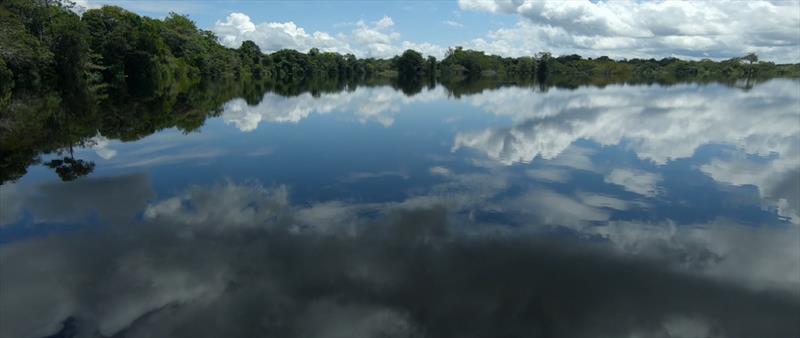 The floating forest on the Rio Negro caused by the high river water in the wet season - from Garden of Evil photo copyright Mediawave taken at Royal New Zealand Yacht Squadron