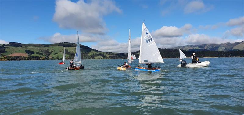 Charlotte Palmer (Charteris Bay YC) with her Doyle P-class sail - photo © Doyle Sails