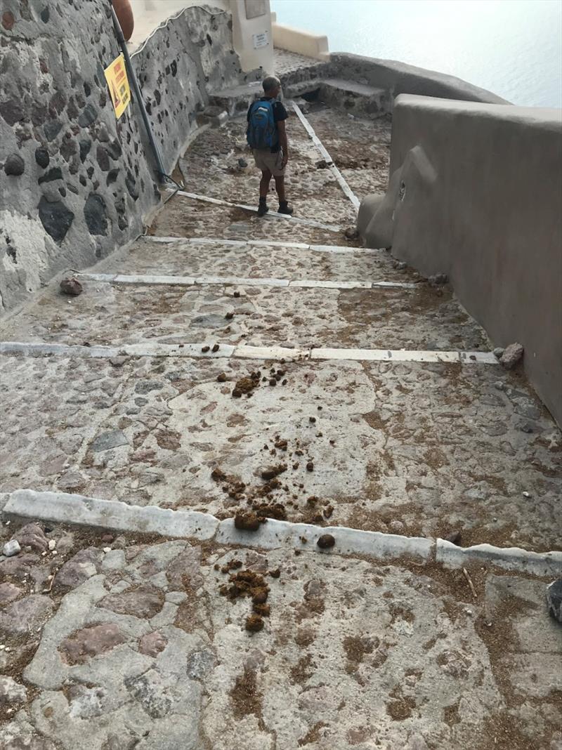 Steps at Oia, Phil going down, dodging the donkey droppings photo copyright SV Red Roo taken at 