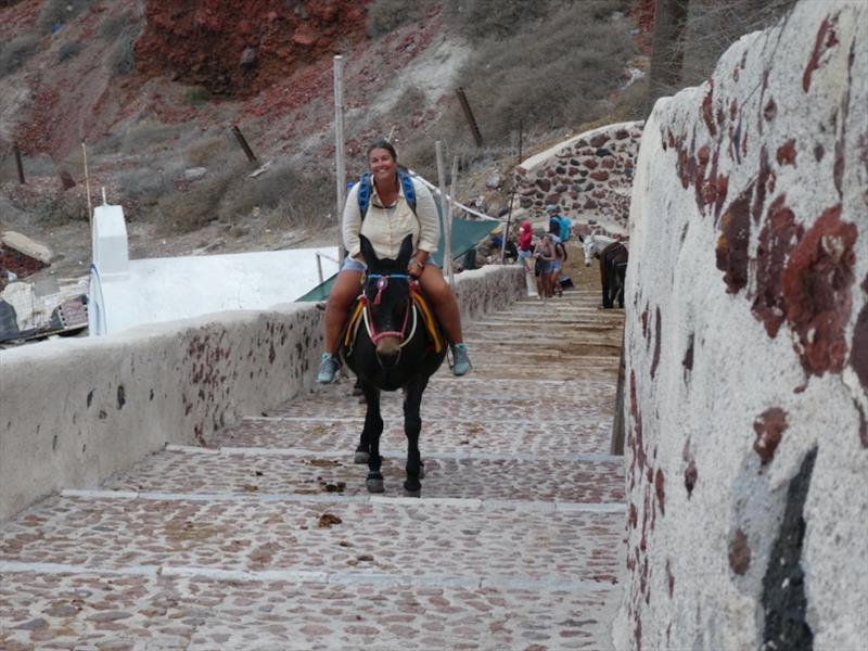 Day two, (about 5,678 steps already climbed) I helped the economy and took a Donkey photo copyright SV Red Roo taken at 