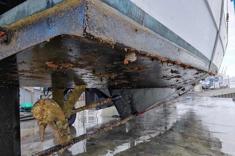 Biofouling can accumulate quickly and reduce fuel efficiency and speed photo copyright Bridge Marina Travelift   taken at 