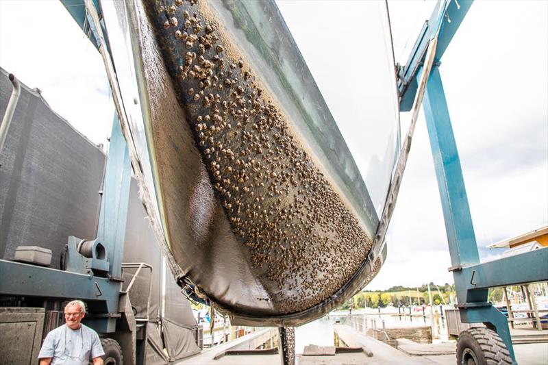 This vessel was treated with two types of antifoul as an experiment. Barnacle encrustation has a negative impact on the efficiency of the hull moving through the water through the increase in drag. This reduces speed and increases fuel consumption photo copyright Kevin Purdy  taken at 