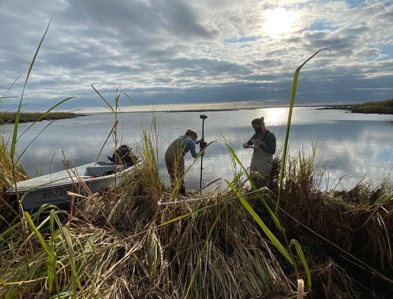 Field work to support preliminary design of marsh restoration projects in Currituck Sound, NC photo copyright National Fish and Wildlife Foundation taken at 
