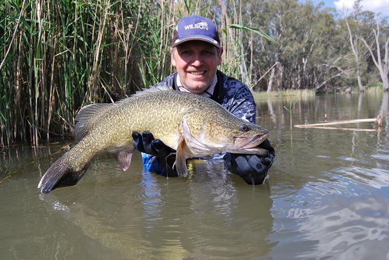Murray cod season opens photo copyright Victorian Fisheries Authority taken at 