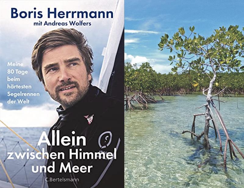 Nearly 80.000 mangroves have been planted with Boris's new book `Allein Zwischen Himmel und Meer` photo copyright Holly Cova taken at 