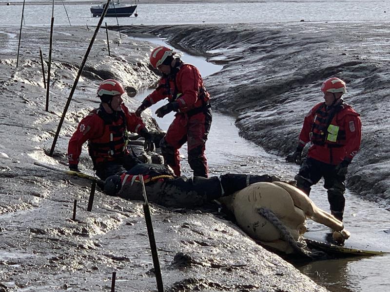 Horse rescue training for Essex County Fire and Rescue Service at Blackwater Sailing Club photo copyright Zoe Nelson taken at Blackwater Sailing Club