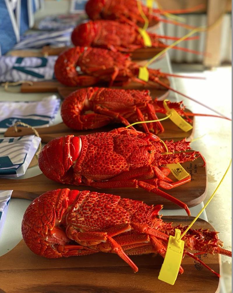 Lucky prize winners will receive King Island Crayfish photo copyright Ocean Racing Club of Victoria taken at Ocean Racing Club of Victoria