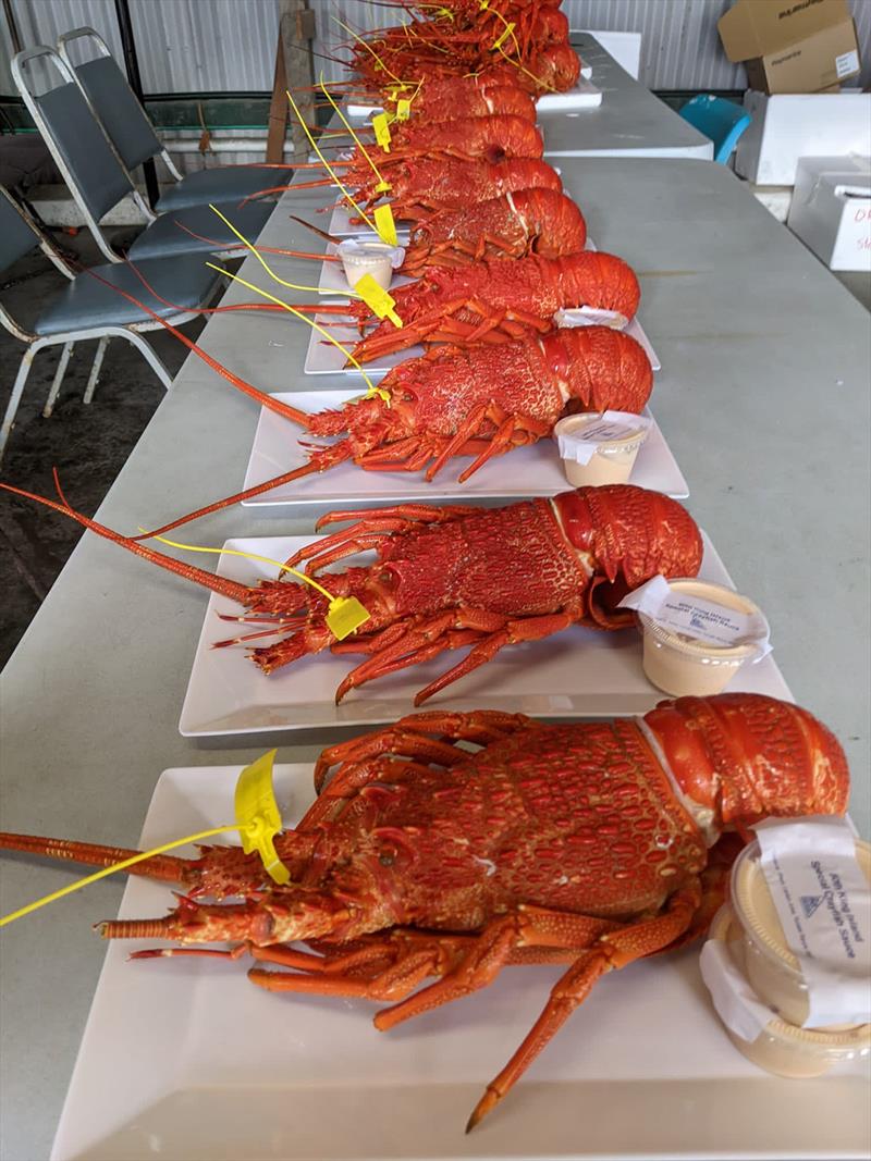 What could be better than King Island crayfish and cheese - 50th King Island Race photo copyright ORCV taken at Ocean Racing Club of Victoria