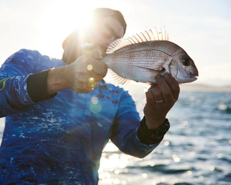 Phil Ellerton with a Storm Bay pinkie. - photo © Samuel P Shelley