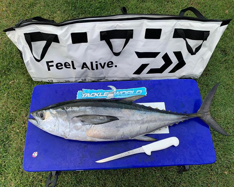Staff member Josh getting ready to prepare some Sashimi and tuna steaks. The Daiwa Insulated Fish Bag is a great option for keeping your catch in A1 condition and can be folded up when not in use photo copyright Fisho's Tackle World taken at 