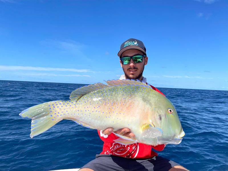 Dane with a nice tuskfish, the blue iridescent blue dots are spectacular photo copyright Fisho's Tackle World taken at 