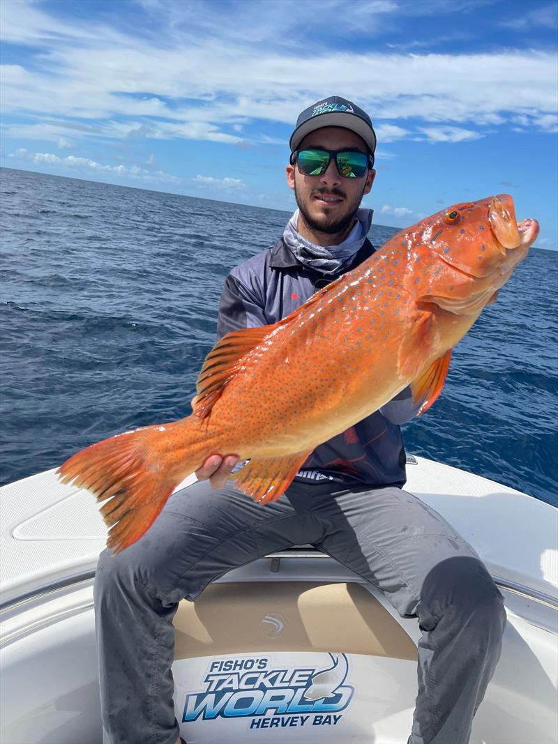 Staff member Dane with a beautiful coral trout photo copyright Fisho's Tackle World taken at 
