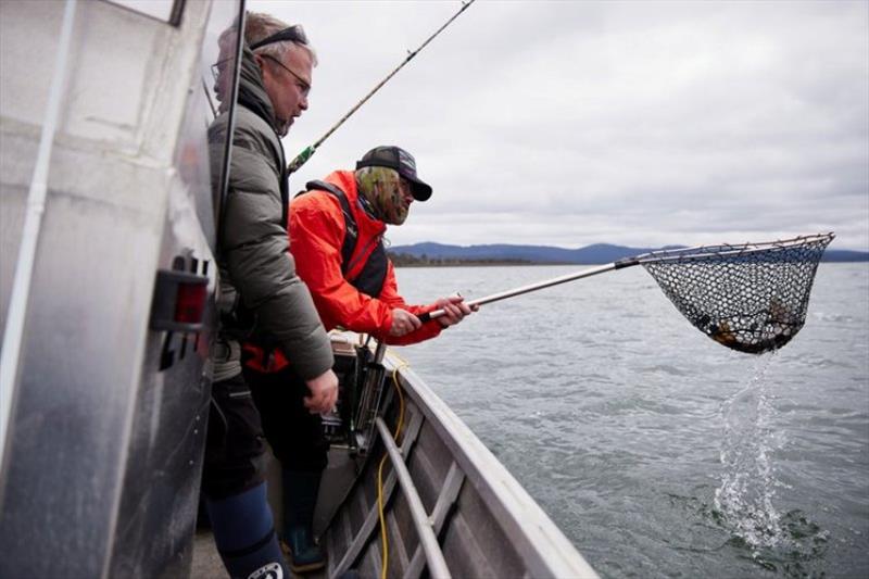 The fruits of trolling Great Lake - photo © Spot On Fishing Hobart