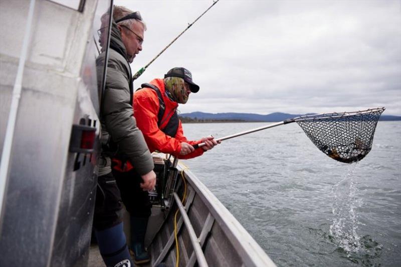 The fruits of trolling Great Lake photo copyright Spot On Fishing Hobart taken at 