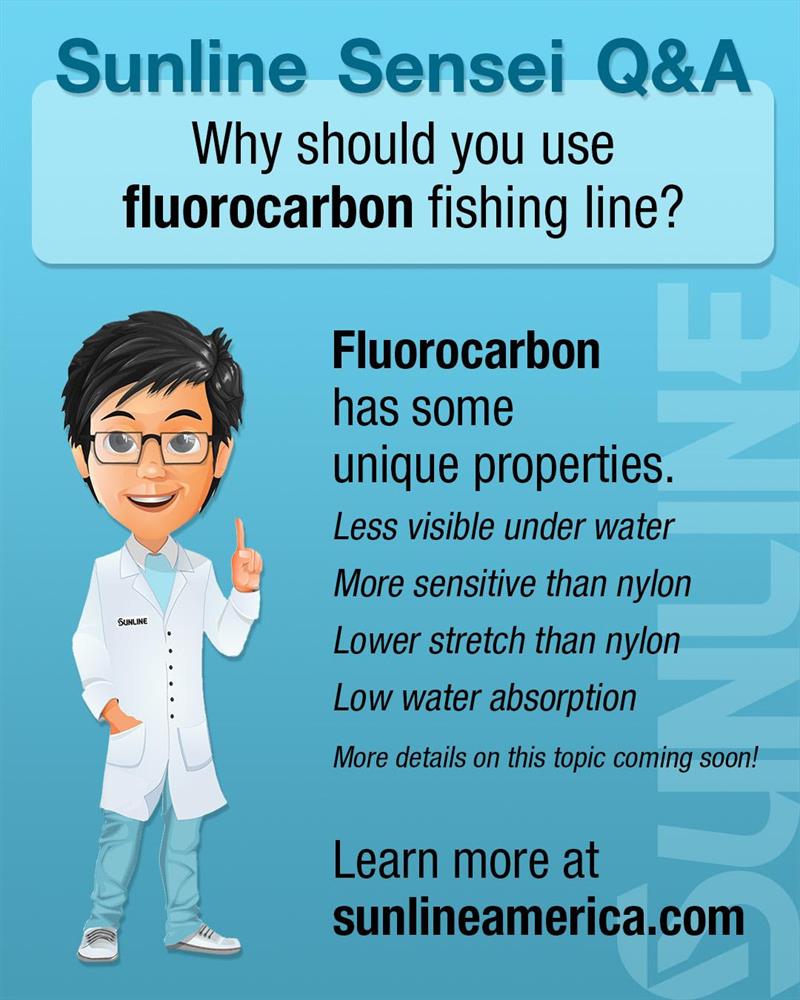Why you should use fluorocarbon fishing line photo copyright Sunline America taken at 