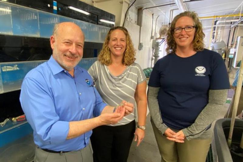 Jennifer Doerr and Jennifer Leo in the Galveston Laboratory alongside NOAA Administrator Dr. Richard Spinrad photo copyright Keeley Belva / NOAA Fisheries taken at 