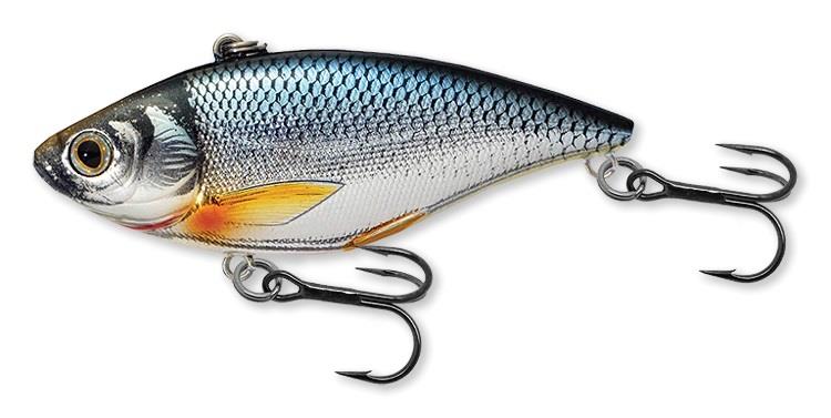 Golden Shiner Rattlebait - photo © Dan Amundson