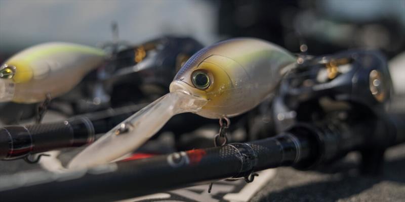 Tackle Warehouse Pro Circuit Presented by Fuel Me stop on Lake Guntersville photo copyright Major League Fishing taken at 