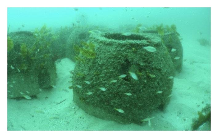 Artificial reef photo copyright Victorian Recreational Fishing Peak Body taken at 