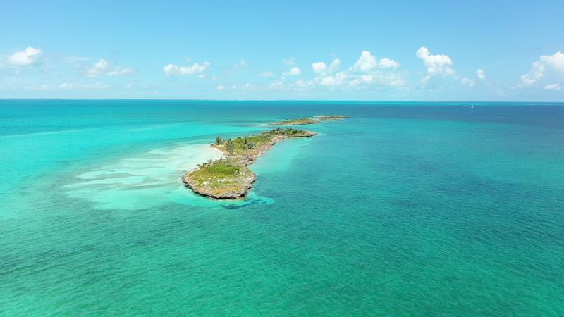 Ocean Legacy in the Bahamas photo copyright Yellowfin taken at 