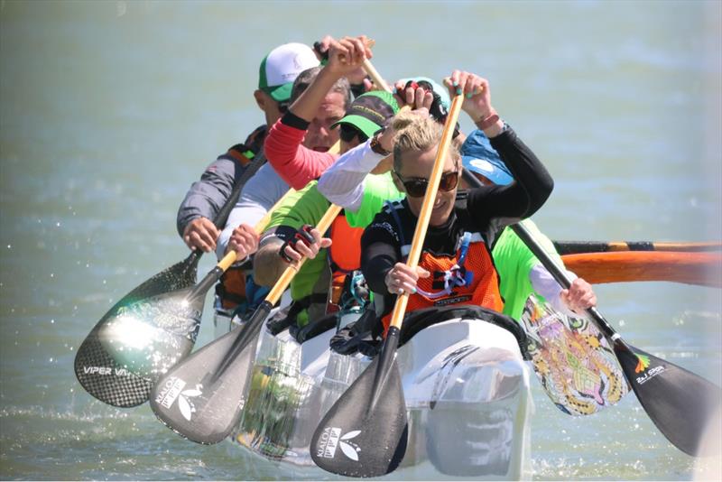 Sussex Yacht Club Festival of the Water photo copyright Chris Hawkes taken at Sussex Yacht Club