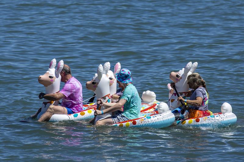 Llama family enjoy the Great Inflatable Race - SeaLink Magnetic Island Race Week photo copyright Andrea Francolini taken at Townsville Yacht Club