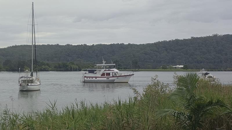 Sublime surroundings on the Clarence River photo copyright SICYC taken at Shag Islet Cruising Yacht Club