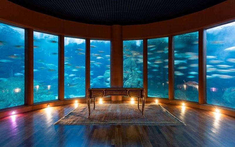 Aquarium Finisterrae - Global Solo Challenge - photo © Turismo A Coruña