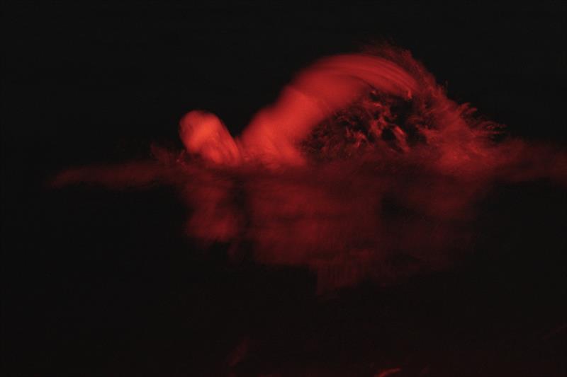 Jono Ridler swam through the night to reach Auckland from Great Barrier via Little Barrier photo copyright Joshua McCormack and Gareth Cooke taken at 