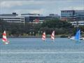 Some of the Firebug fleet © Concord and Ryde SC