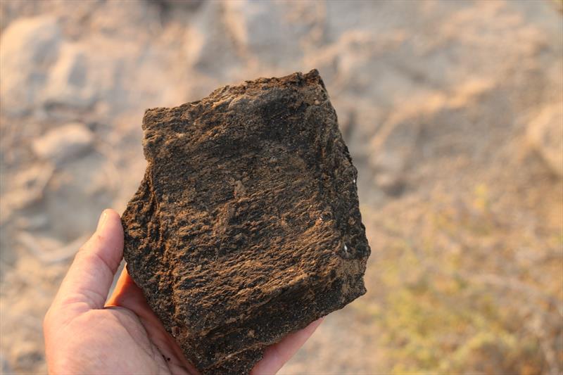 Bitumen with rope impressions discovered by DCT Abu Dhabi ...